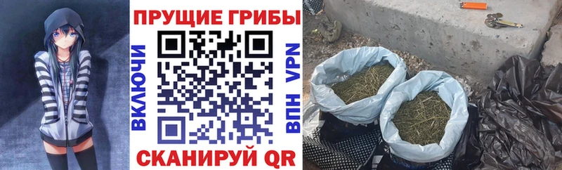 Псилоцибиновые грибы прущие грибы  Купить  Изобильный 