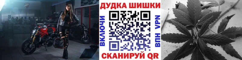 Шишки марихуана Bruce Banner  Купить где  Изобильный 